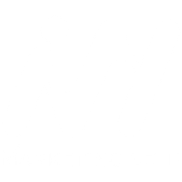 Marketing Seth